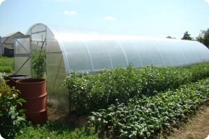 Сварная теплица из поликарбоната 4 мм Садовод Элит ОТ 8х3х2м - преимущества