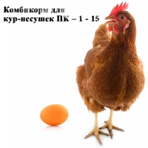 Комбикорм для кур-несушек ПК-1-15
