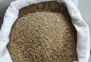 Зерно фуражное в мешках (пшеница, ячмень, овес, кукуруза, тритикале)