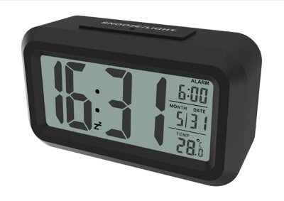 Цифровые часы-будильник Ritmix CAT-100 BLACK от компании Компания «Про 100» - фото 1