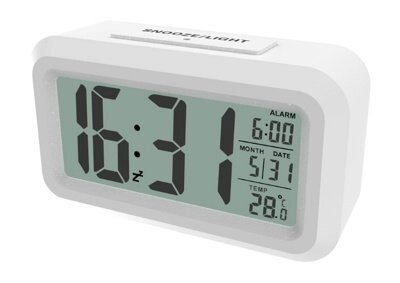 Цифровые часы-будильник Ritmix CAT-100 WHITE от компании Компания «Про 100» - фото 1