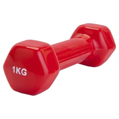 Гантель обрезиненная 1 кг, красная (rubber covered barbell 1 kg RED) от компании Компания «Про 100» - фото 1