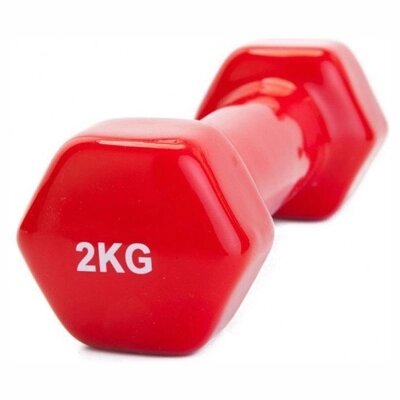 Гантель обрезиненная 2 кг, красная (rubber covered barbell  2 kg RED) от компании Компания «Про 100» - фото 1