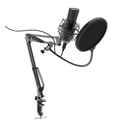 Микрофон Ritmix RDM-180 black от компании Компания «Про 100» - фото 1