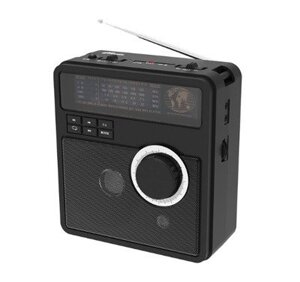 Портативный радиоприёмник Ritmix RPR-210 BLACK