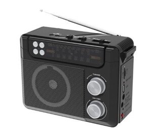 Портативный радиоприёмник Ritmix RPR-200 BLACK