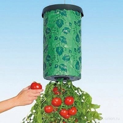 Приспособление для выращивания культур «ПЛАНТАЦИЯ»Tomato planter) - Компания «Про 100»
