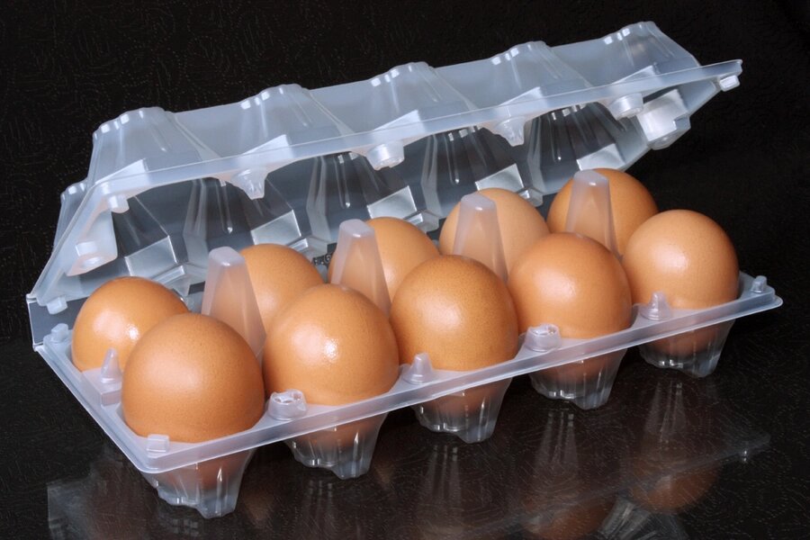 Упаковка (контейнер) для яиц на 10 шт от компании ООО Тара бай" представитель ООО "Пластиковая тара" в Беларуси - фото 1