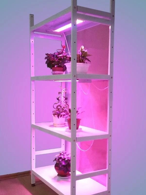 Стеллаж для рассады и цветов с 3-мя фитосветильниками Петромаш LED-30 от компании Интернет-магазин «Hutki. by» - фото 1