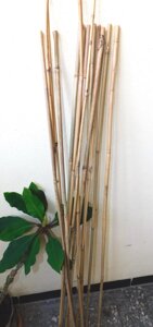 Опора для растений, бамбук , до 120 см