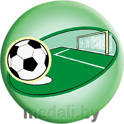 Акриловая эмблема футбол 1310-025-015 от компании ЧП «Квадроком-пром» - фото 1