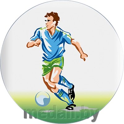 Акриловая эмблема футбол 1310-025-019 от компании ЧП «Квадроком-пром» - фото 1