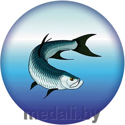 Акриловая эмблема рыбная ловля 1369-025-001 от компании ЧП «Квадроком-пром» - фото 1