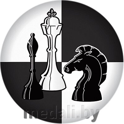 Акриловая эмблема шахматы 1347-025-000 от компании ЧП «Квадроком-пром» - фото 1