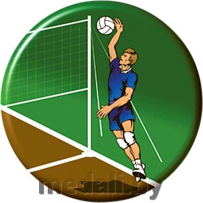 Акриловая эмблема волейбол 1312-025-000 от компании ЧП «Квадроком-пром» - фото 1