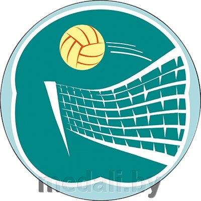 Акриловая эмблема волейбол 1312-025-009 от компании ЧП «Квадроком-пром» - фото 1