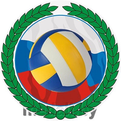 Акриловая эмблема волейбольный мяч 1392-025-005 от компании ЧП «Квадроком-пром» - фото 1
