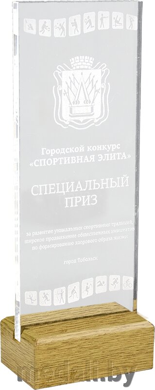 Акриловая награда 1764-220-ГР0 от компании ЧП «Квадроком-пром» - фото 1