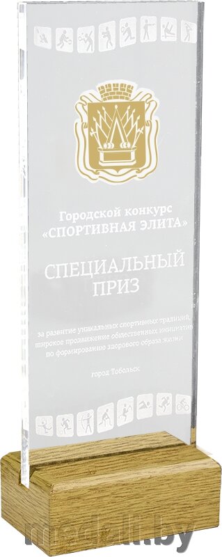 Акриловая награда 1764-220-ГРФ от компании ЧП «Квадроком-пром» - фото 1
