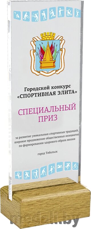 Акриловая награда 1764-220-УФ0 от компании ЧП «Квадроком-пром» - фото 1