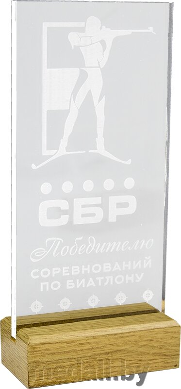 Акриловая награда 1766-220-ГР0 от компании ЧП «Квадроком-пром» - фото 1