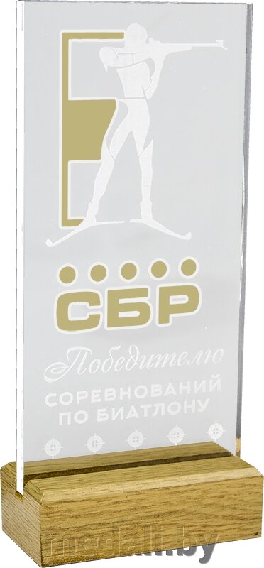 Акриловая награда 1766-220-ГРФ от компании ЧП «Квадроком-пром» - фото 1