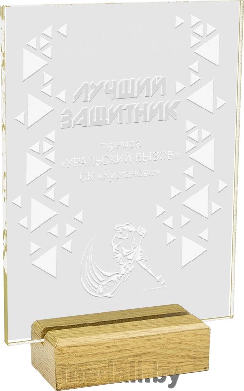 Акриловая награда 1767-220-ГР0 от компании ЧП «Квадроком-пром» - фото 1