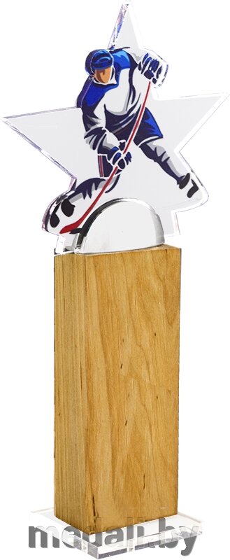 Акриловая награда Хоккей 1759-001-302 от компании ЧП «Квадроком-пром» - фото 1