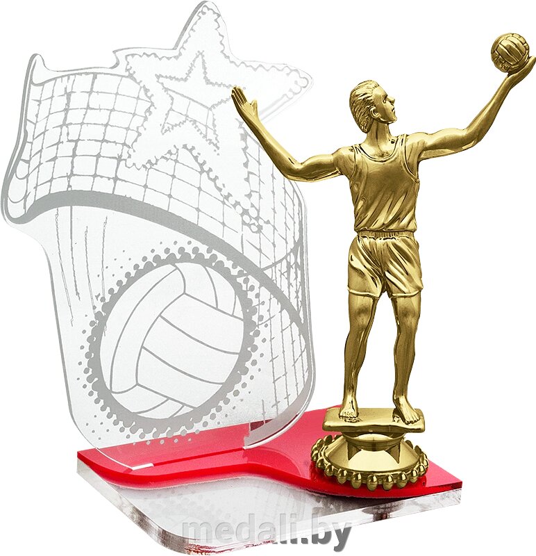 Акриловая награда волейбол 1723-180-000 от компании ЧП «Квадроком-пром» - фото 1