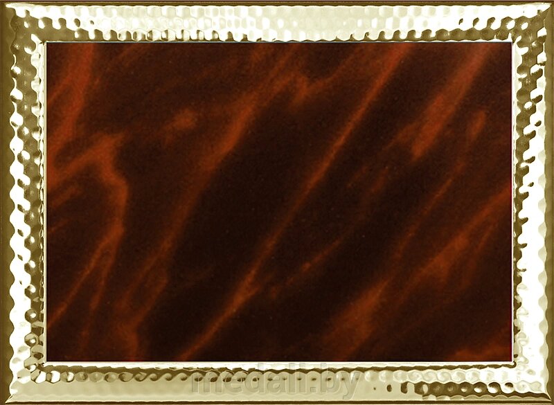 Диплом металлический 1854-160-102 от компании ЧП «Квадроком-пром» - фото 1