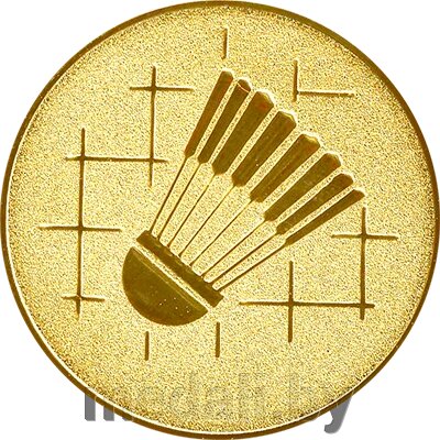 Эмблема бадминтон 1145-025-101 от компании ЧП «Квадроком-пром» - фото 1