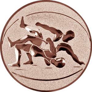 Эмблема борьба бронза, 25 мм 1119-025-310
