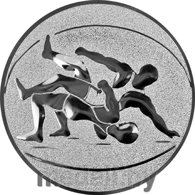 Эмблема борьба серебро, 25 мм 1119-025-210 от компании ЧП «Квадроком-пром» - фото 1