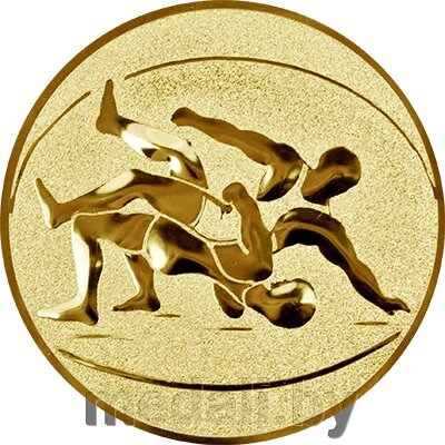 Эмблема борьба золото, 25 мм 1119-025-110 от компании ЧП «Квадроком-пром» - фото 1