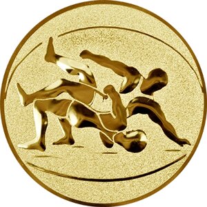 Эмблема борьба золото, 25 мм 1119-025-110