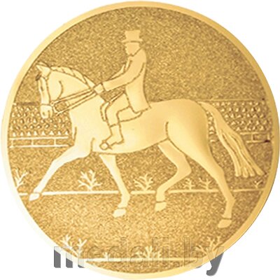 Эмблема конный спорт/выездка 1186-025-100 от компании ЧП «Квадроком-пром» - фото 1
