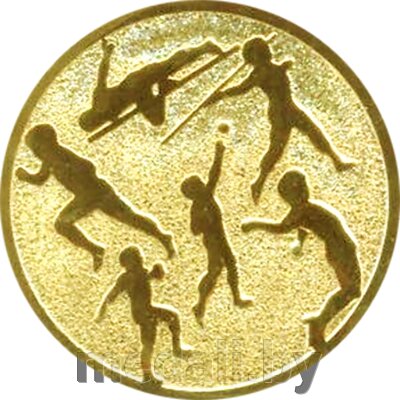 Эмблема легкая атлетика 1121-025-102 от компании ЧП «Квадроком-пром» - фото 1