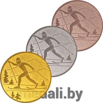 Эмблема лыжный спорт 1139-025-100 от компании ЧП «Квадроком-пром» - фото 1