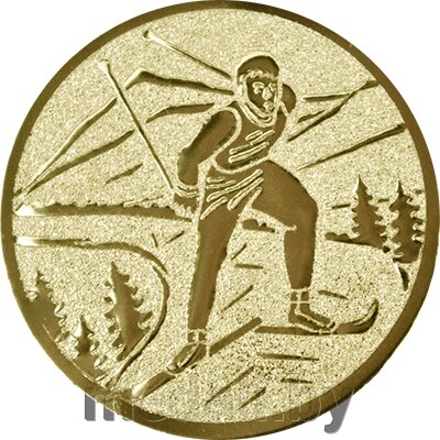 Эмблема лыжный спорт 1139-025-101 от компании ЧП «Квадроком-пром» - фото 1