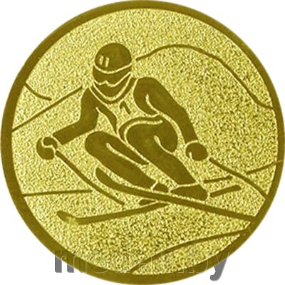 Эмблема лыжный спорт/горный 1109-025-100 от компании ЧП «Квадроком-пром» - фото 1