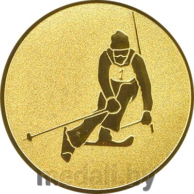 Эмблема лыжный спорт/горный 1109-025-102 от компании ЧП «Квадроком-пром» - фото 1
