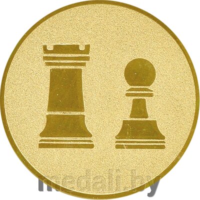Эмблема шахматы от компании ЧП «Квадроком-пром» - фото 1