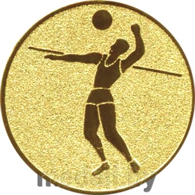 Эмблема волейбол 1111-025-105 от компании ЧП «Квадроком-пром» - фото 1