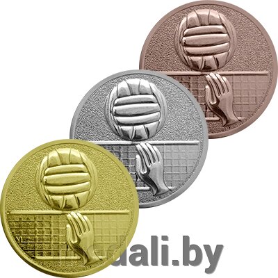 Эмблема волейбол 1111-050-100 от компании ЧП «Квадроком-пром» - фото 1