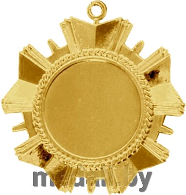 Медаль 3511-050-100 от компании ЧП «Квадроком-пром» - фото 1