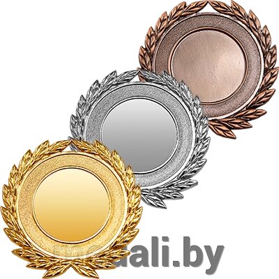 Медаль Арчика 3460-050-100 от компании ЧП «Квадроком-пром» - фото 1