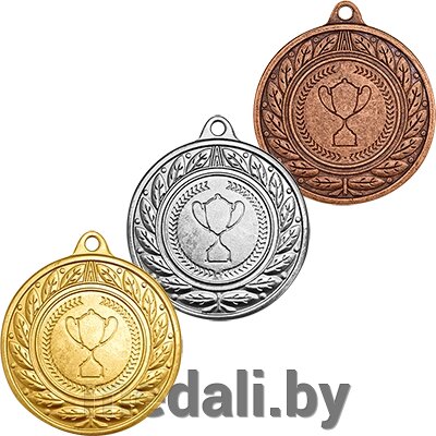 Медаль Кашма 3527-045-200 от компании ЧП «Квадроком-пром» - фото 1