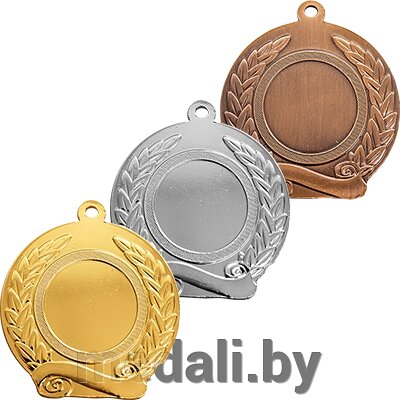Медаль Мережка 3488-050-200 от компании ЧП «Квадроком-пром» - фото 1