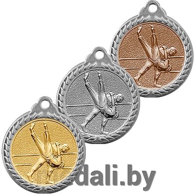 Медаль рельефная дзюдо 3372-018-100 от компании ЧП «Квадроком-пром» - фото 1