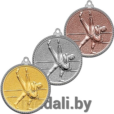 Медаль рельефная дзюдо 3372-118-100 от компании ЧП «Квадроком-пром» - фото 1